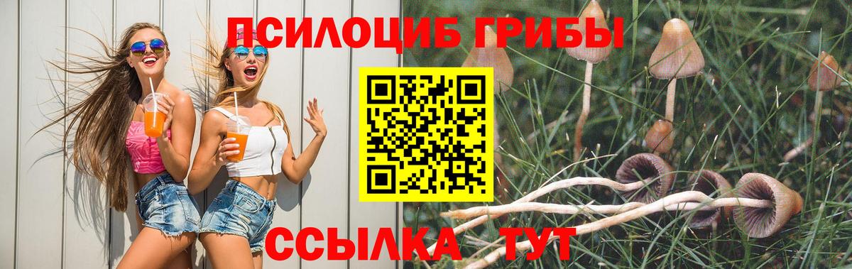 Псилоцибиновые грибы GOLDEN TEACHER  Вход с VPN  Канаш  Псилоцибиновые грибы GOLDEN TEACHER 